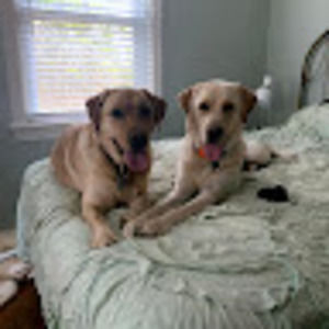 Meet your Posher, Rebecca